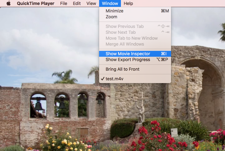 Video bitrates - Quicktime Movie Inspector