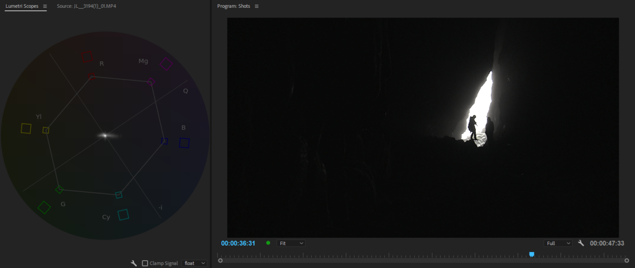 How to Use and Read the Four Primary Video Scopes