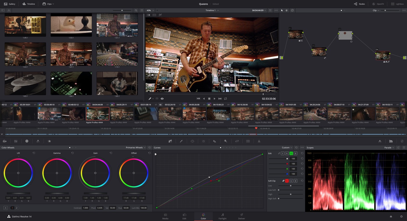 davinci resolve support