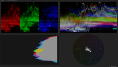 How to Use and Read the Four Primary Video Scopes