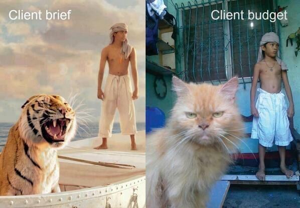 client brief client budget