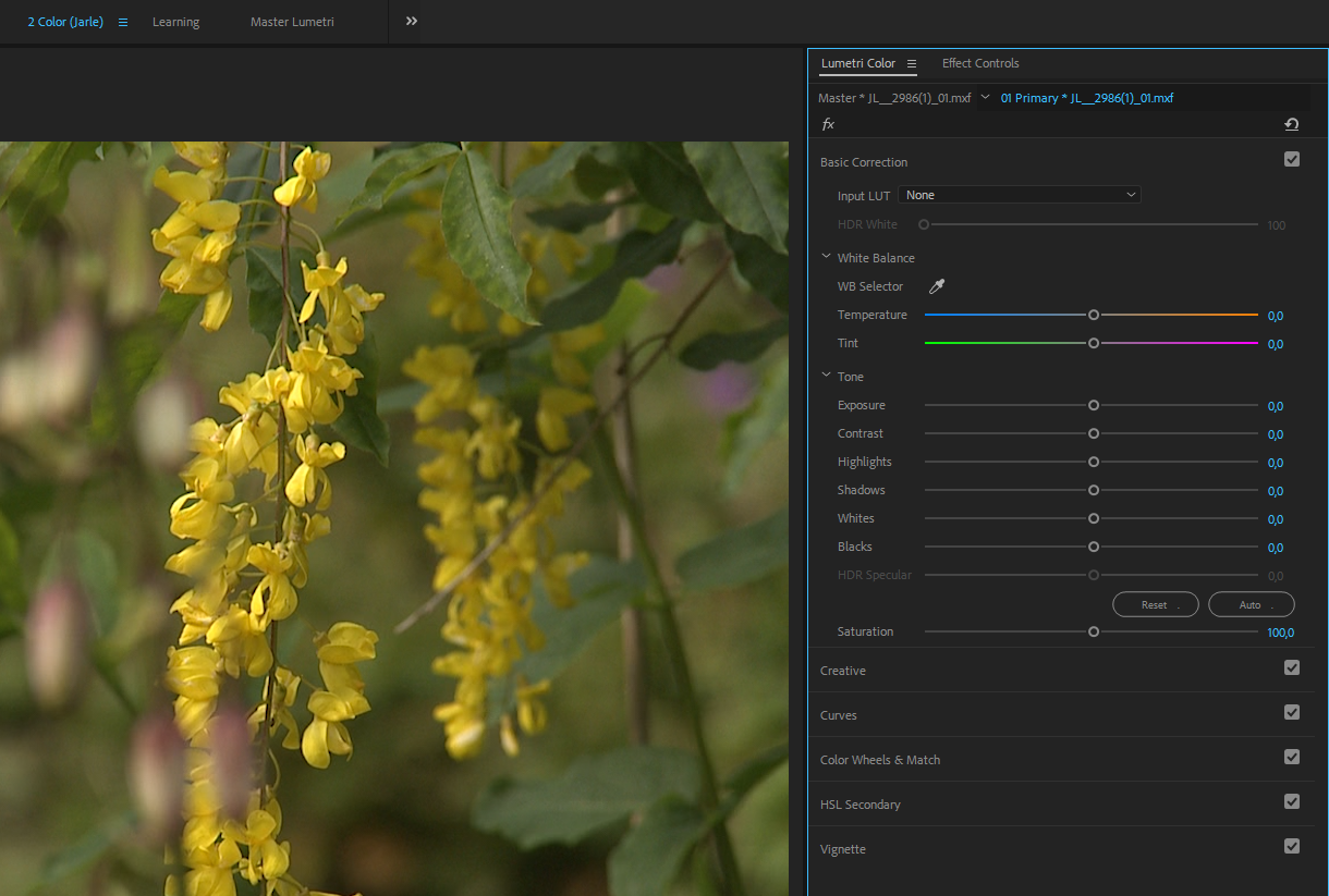 Basic Color Correction in Premiere