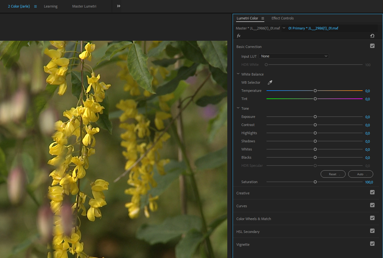 download preset lumetri color premiere pro cs6