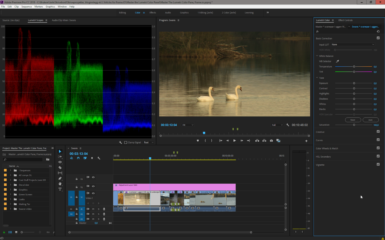 color finale for premiere pro