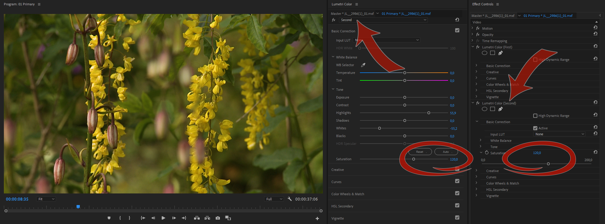 Adobe premiere ошибка lumetri color