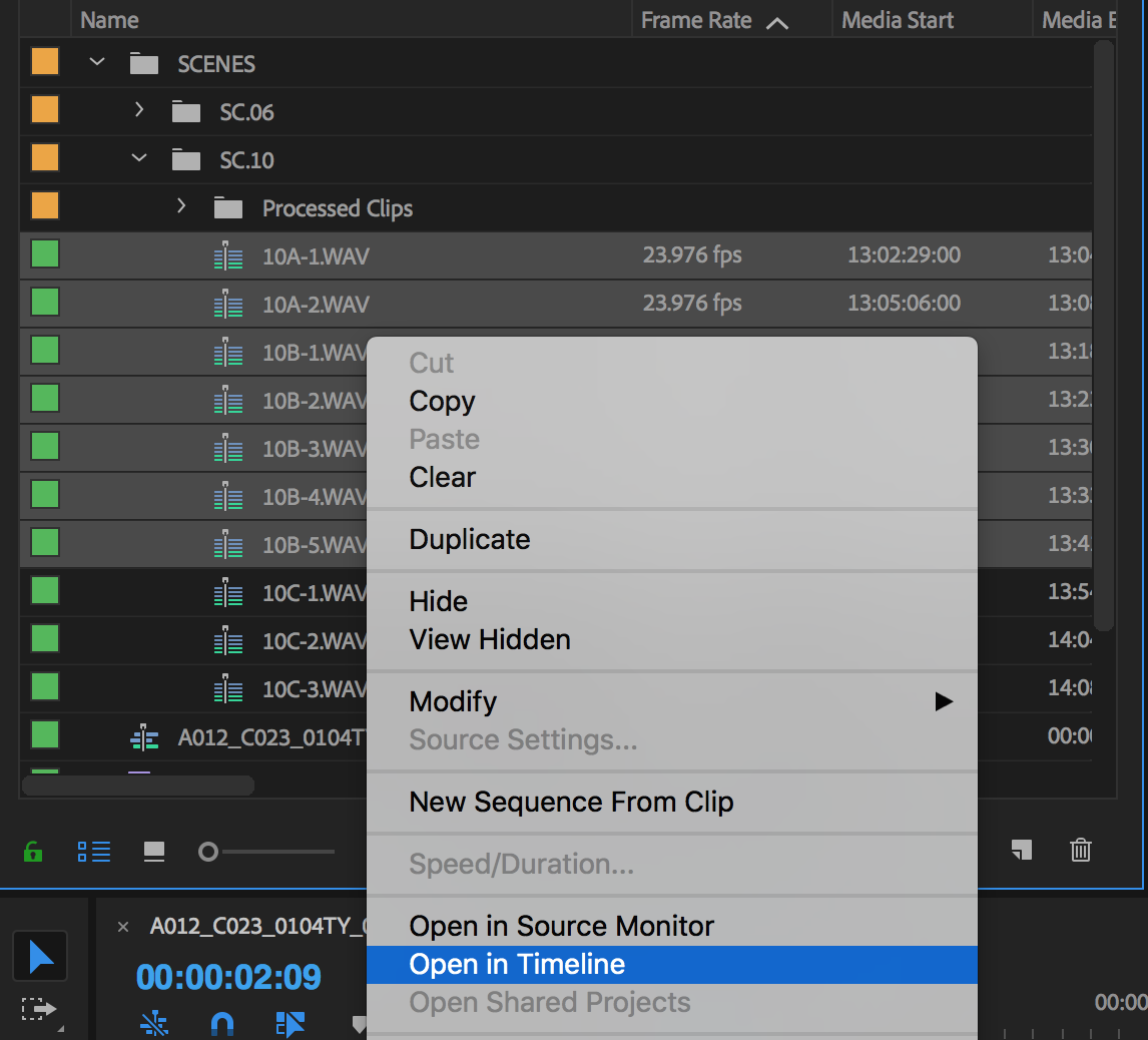 a particular video footage does not play sound on timeline but the rest does adobe premiere