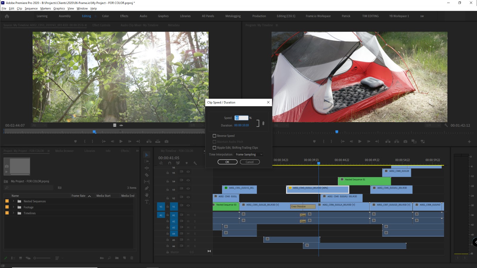 Premiere Project Clip Speed