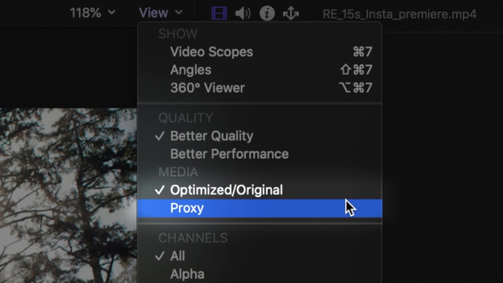 fcpx proxy export