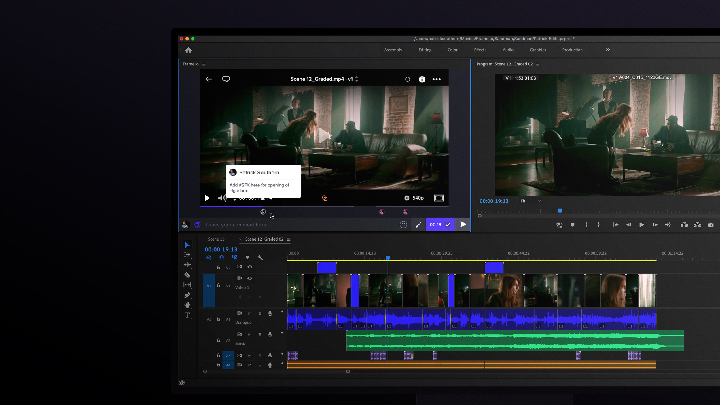 Frame.io 3.7.1 running inside the Premiere Pro panel.