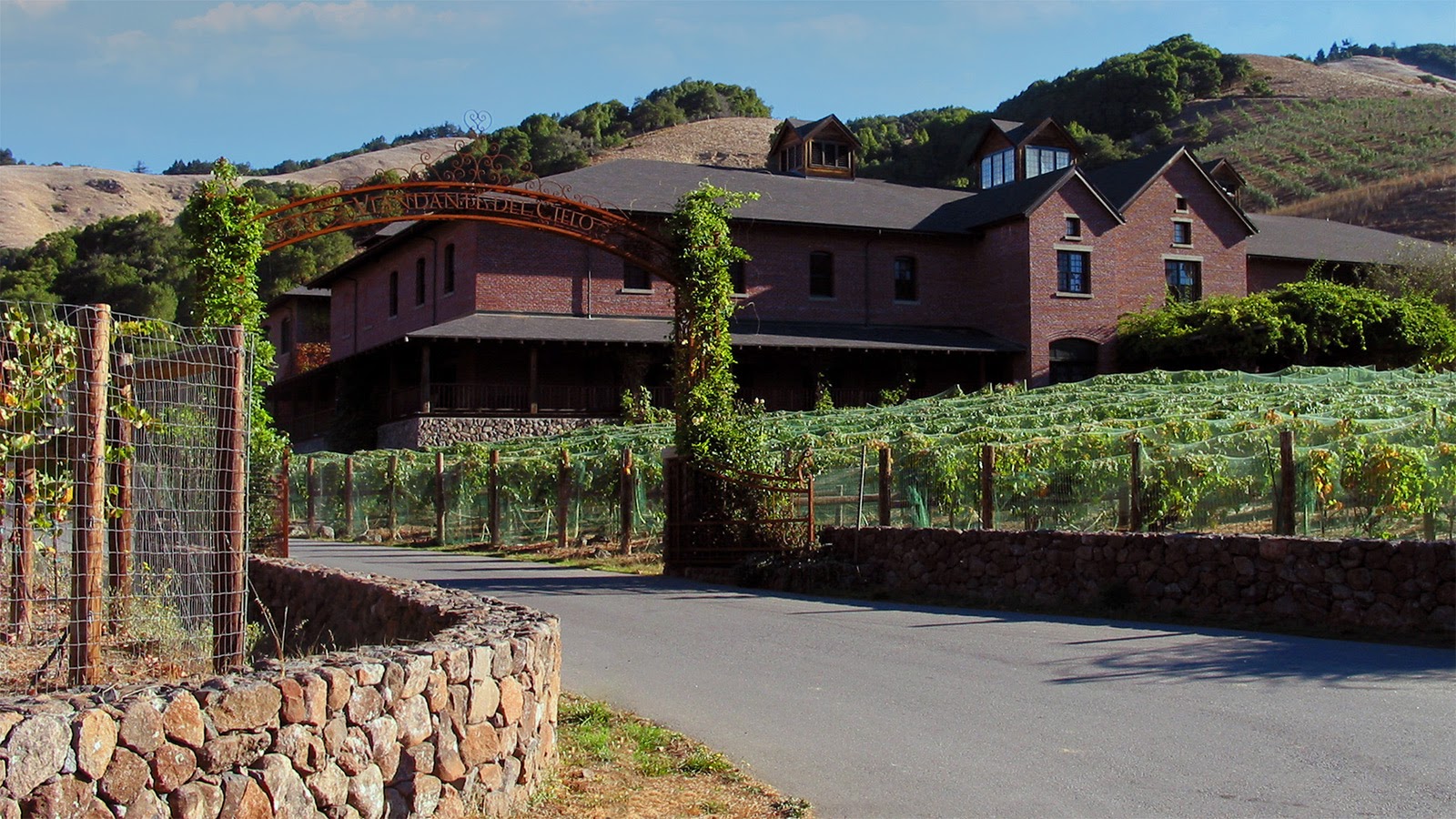 Wide shot of Skywalker Ranch with vines in foreground