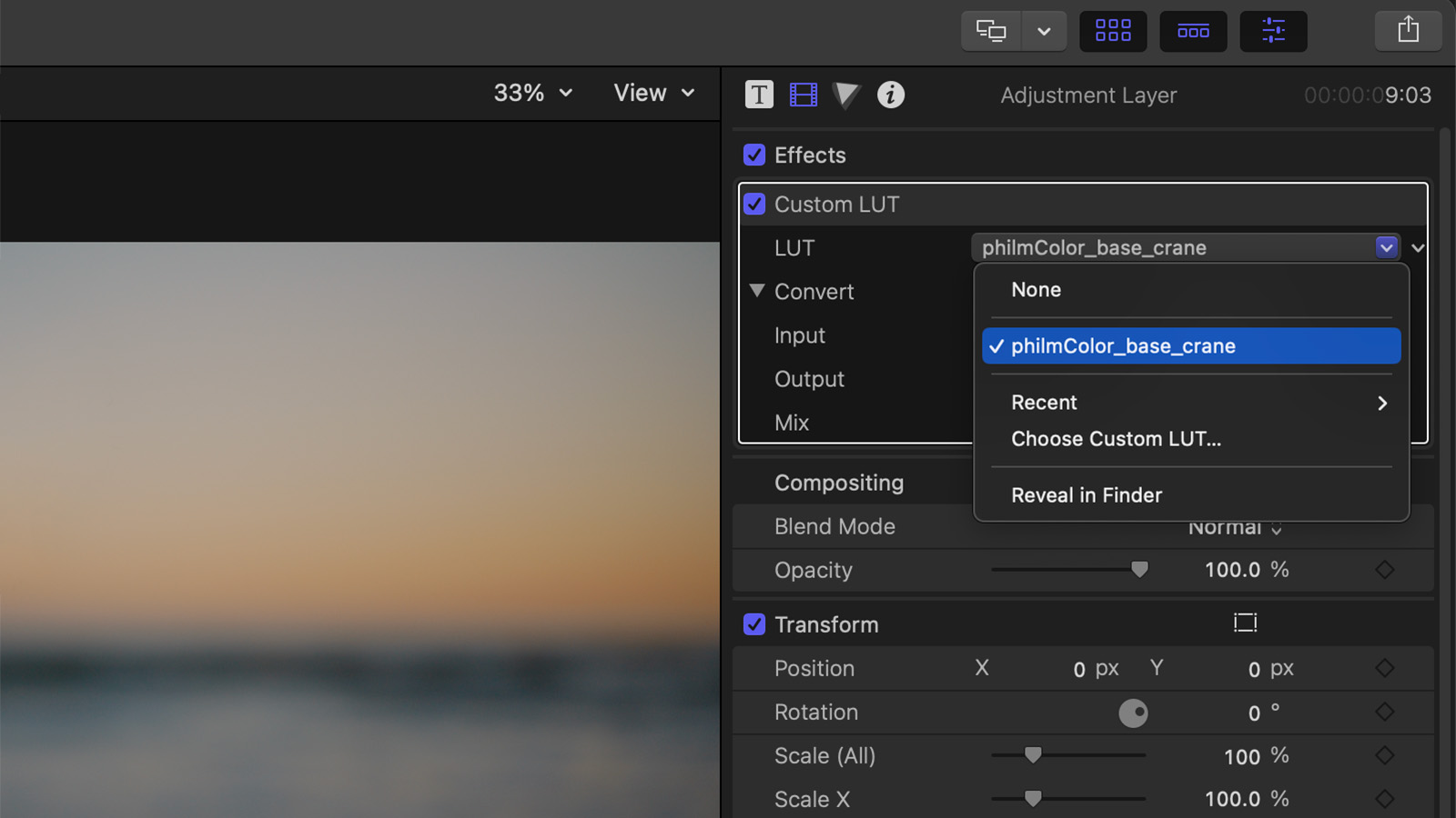You can add a custom LUT to your new Adjustment Layer.
