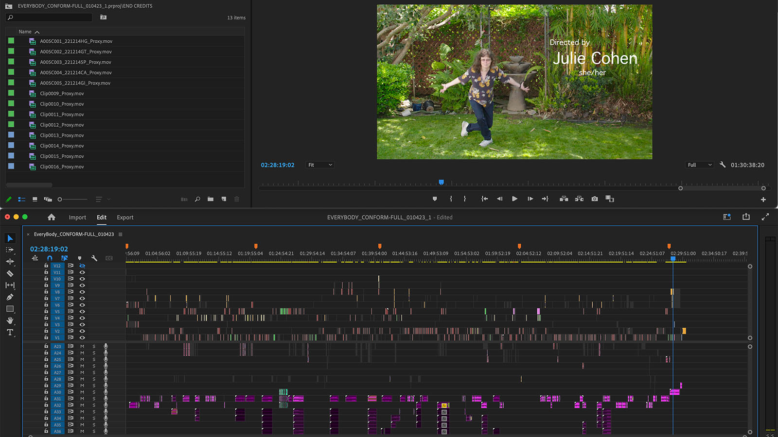 Premiere Pro timeline for the celebratory credit sequence in Every Body.