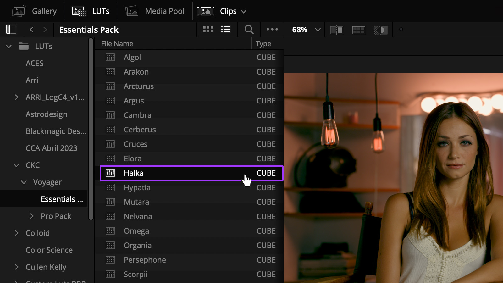 Selecting a LUT in DaVinci Resolve