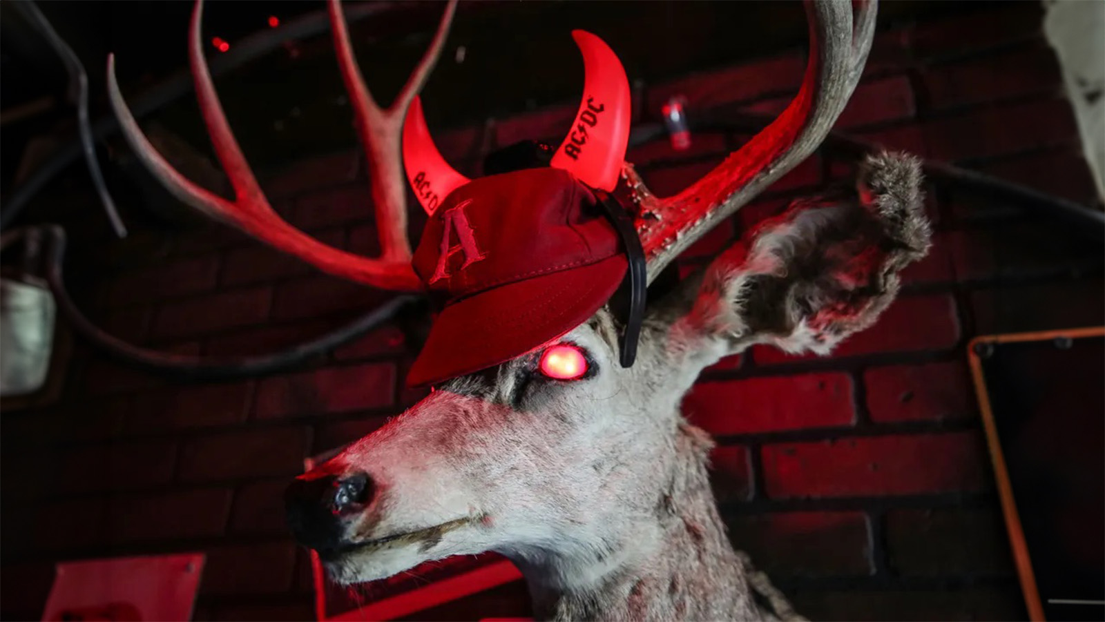Deer head for AC/DC bar.
