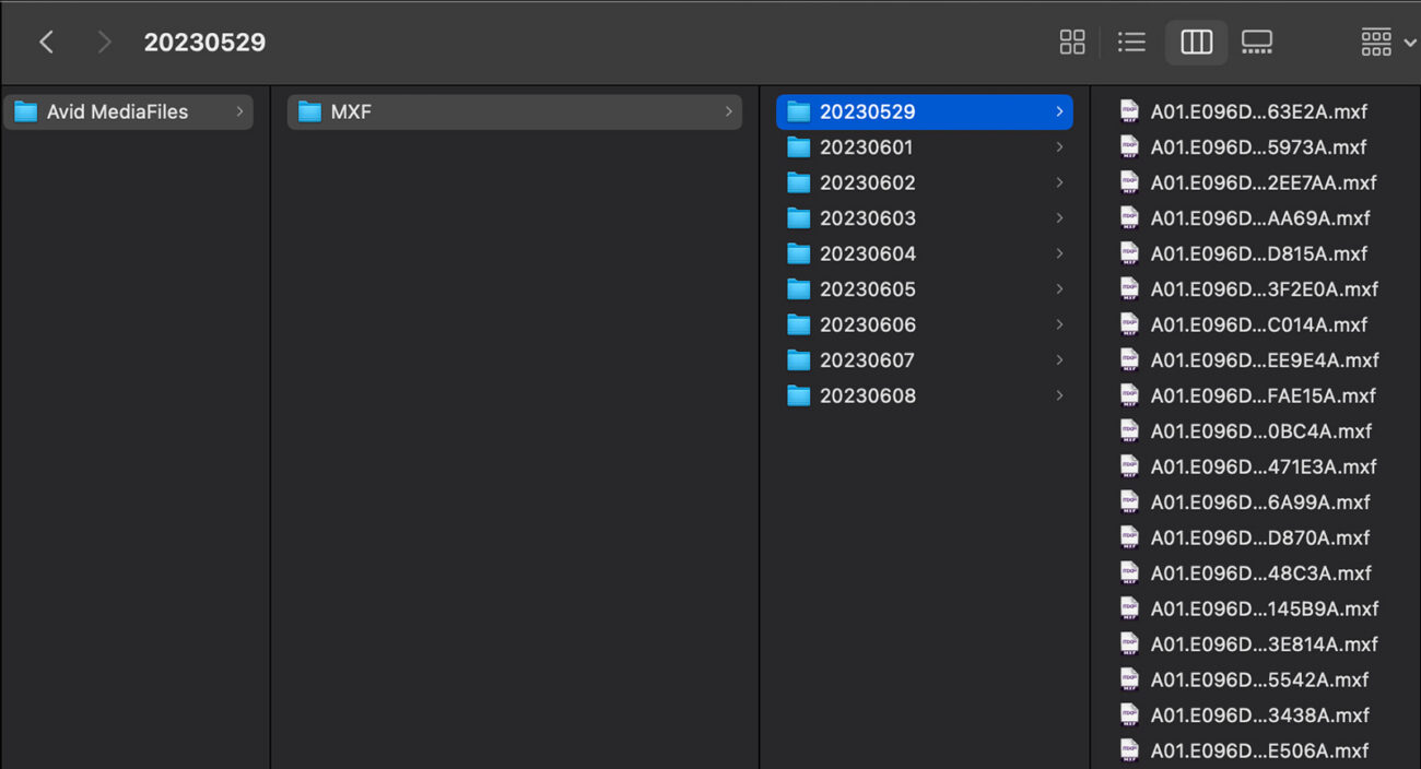 Insider Tips: Get Your Avid MediaFiles in Order - Frame.io Insider