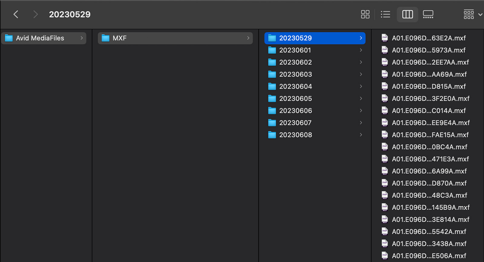 Avid date-ordered subfolders