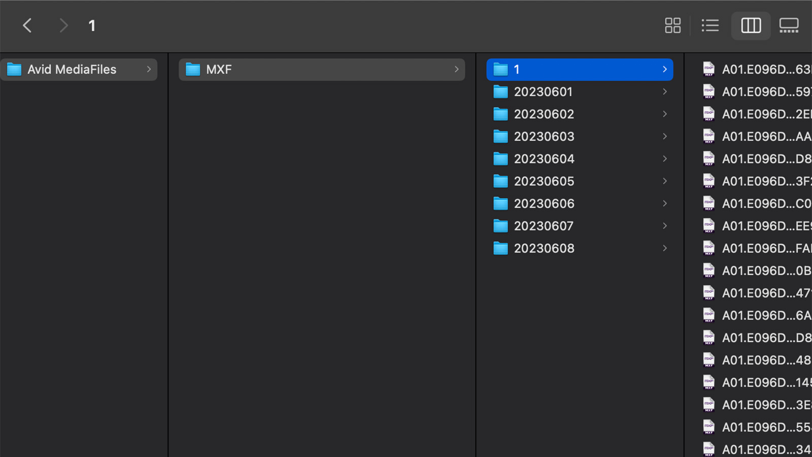Avid MediaFiles "1" folder