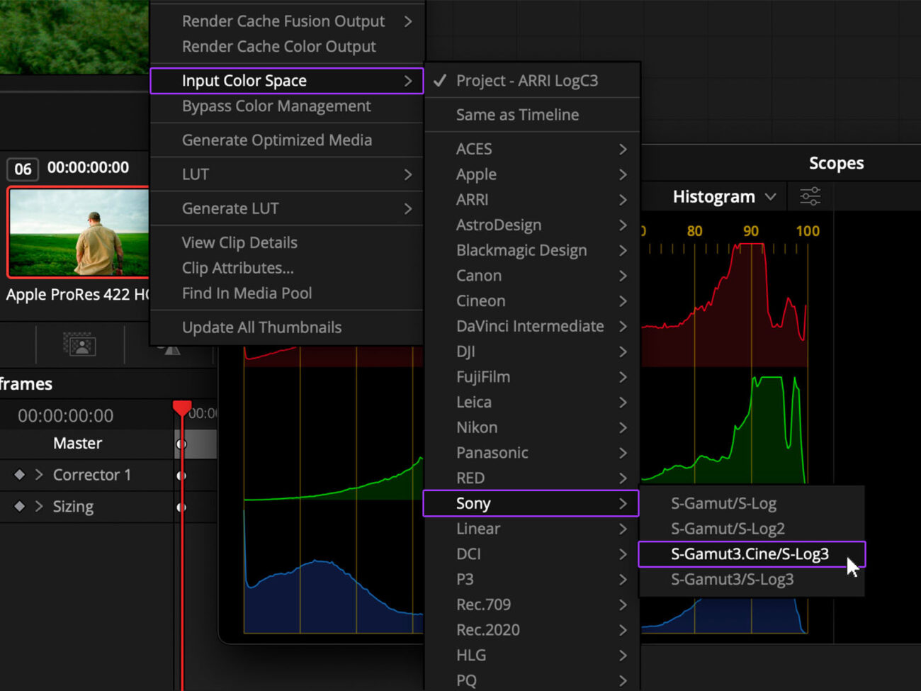 Use a Cheat Sheet for DaVinci Resolve Color Management Setup