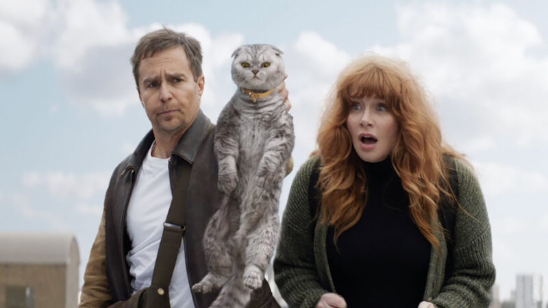 Although the filmmakers used CGI for feline stunts, like the one above, they made sure that most of the cat scenes in Argylle were 100% real.Image © Apple