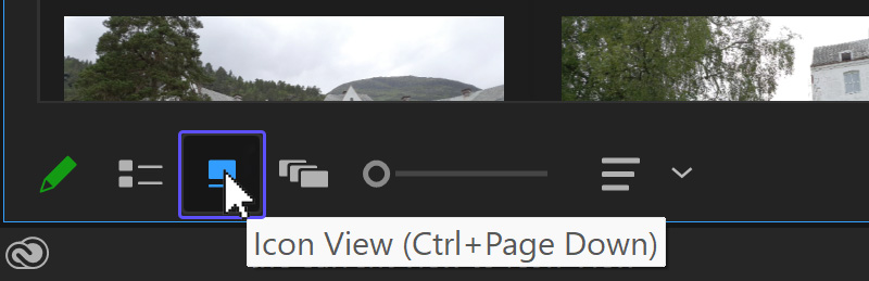 Icon View button in Premiere Pro