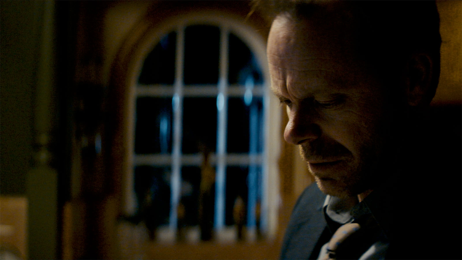 Our Resolve preview shows blacks are less crushed, but now the image looks artificially lifted.