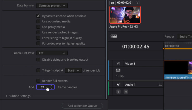 Resolve handles can be added to individual exports in the Advanced Settings section of the Video panel.