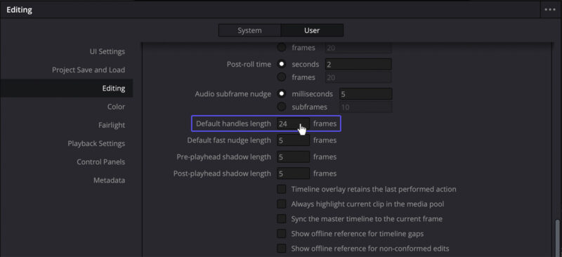 Resolve Handles are set to 24 frames by default.