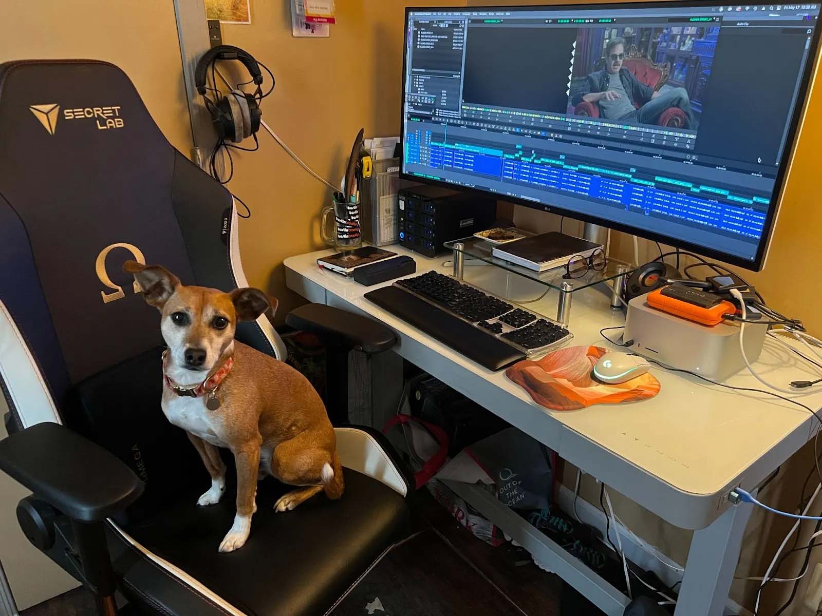 Kait’s workspace, complete with canine assistant Yosemite. Image © Kait Plum