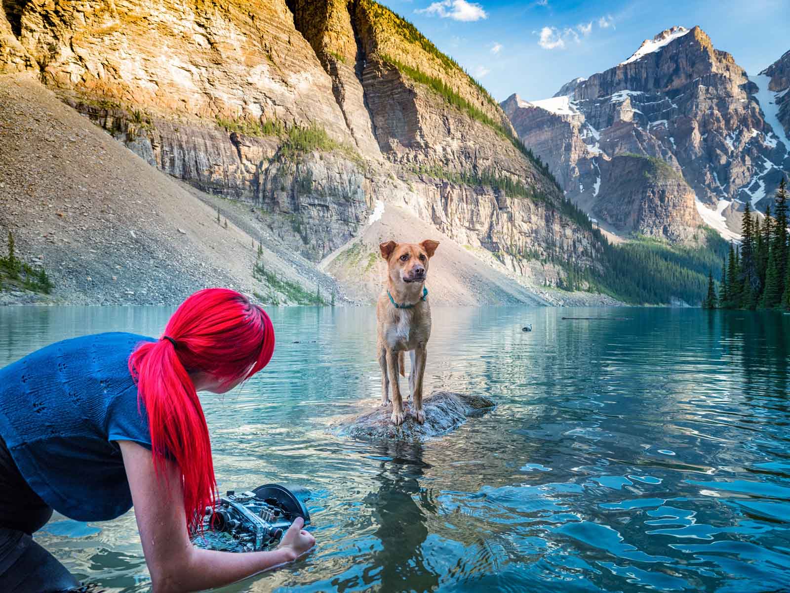 Greer and her team are traveling across the country to photograph shelter dogs in amazing environments. Image © Dog Breath Photography