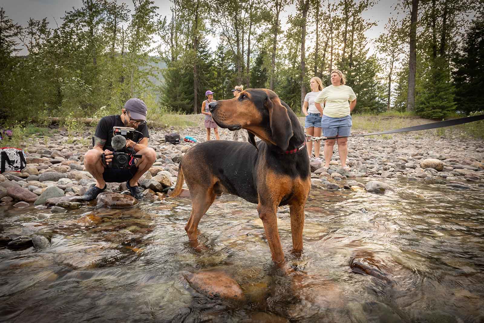 Even if you lose signal, the Atomos C2C system will create a queue that starta uploading when you connect to the internet again. Image © Dog Breath Photography