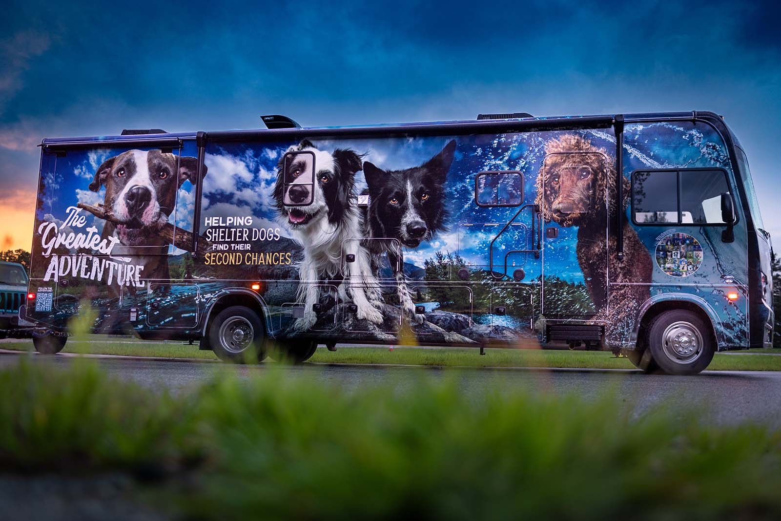 The Greatest Adventure is coming to a shelter near you! Image © Dog Breath Photography