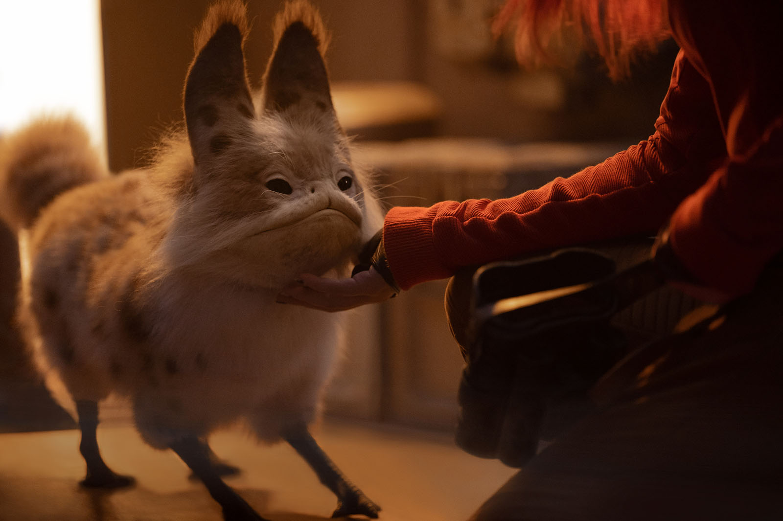 The Noti aren’t the only cute creatures in Ahsoka. Murley the Loth-cat is also making fans go “Aww!”